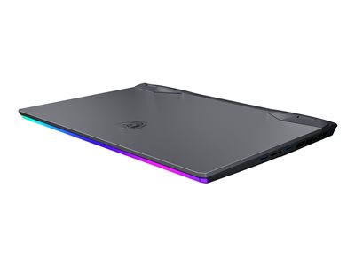 MSI GE66 10UE 220FR Raider - Core i7 10870H / 2.2 GHz - Windows 10 - 16 Go RAM - 1 To SSD NVMe - 15.6" 1920 x 1080 (Full HD) @ 300 Hz - GF RTX 3060 - Wi-Fi, Bluetooth - gris de fer