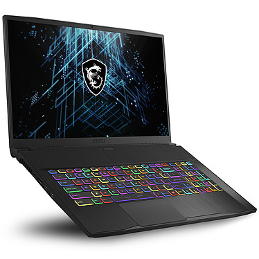 MSI GF75 10UEK 023FR Thin - Core i7 10750H / 2.6 GHz - Windows 10 Home - 16 Go RAM - 1 To SSD NVMe - 17.3" 1920 x 1080 (Full HD) @ 144 Hz - GF RTX 3060 - Wi-Fi, Bluetooth - noir